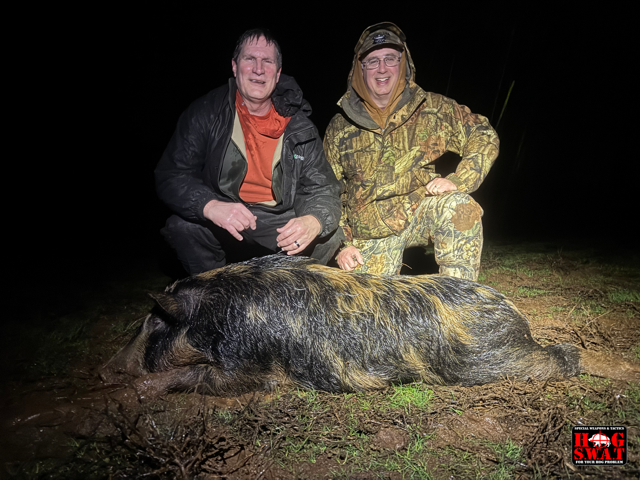 Hog Hunting