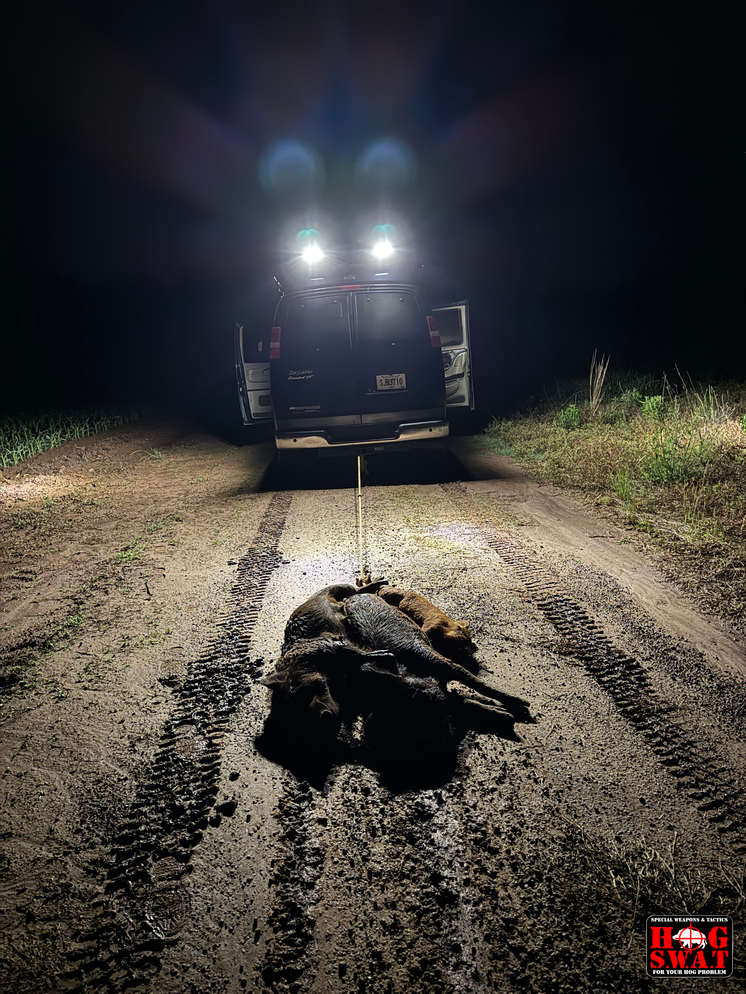 Hog Hunting Georgia Outfitter