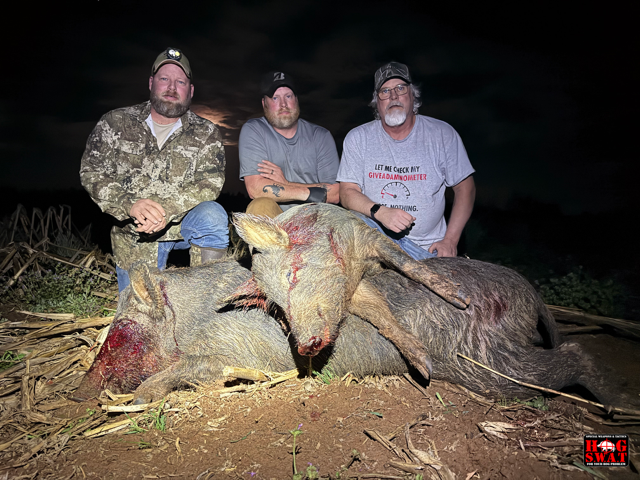 Wild Hog Hunting