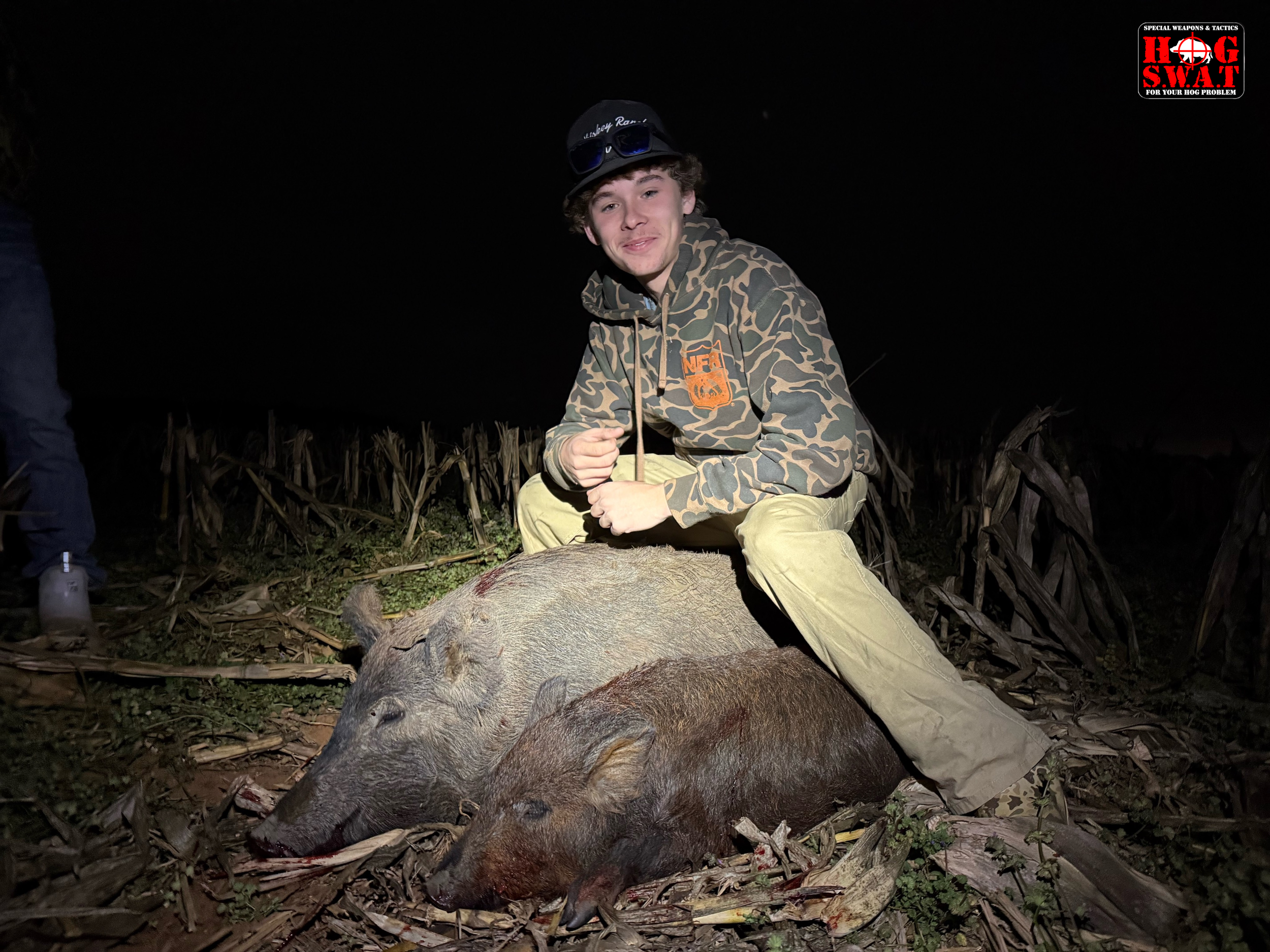 Hog Hunting