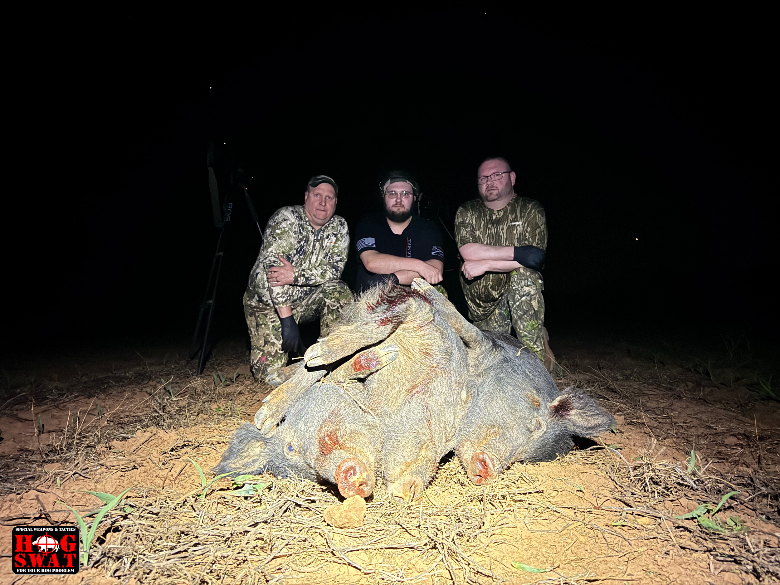 Guided Hog Huntnig