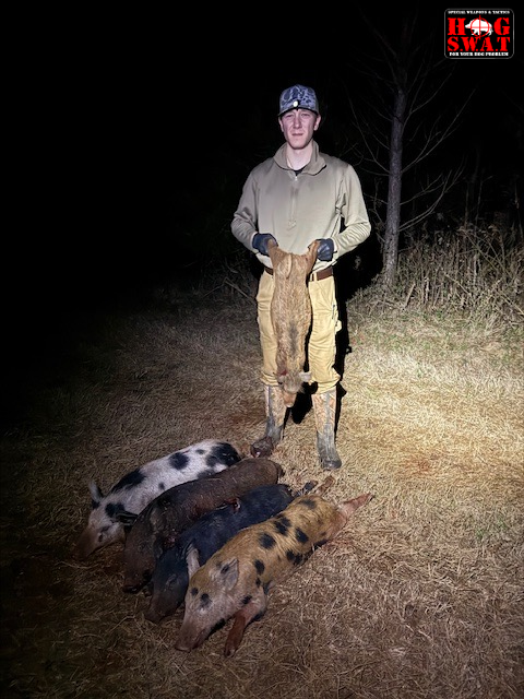 Guided Hog Hunting
