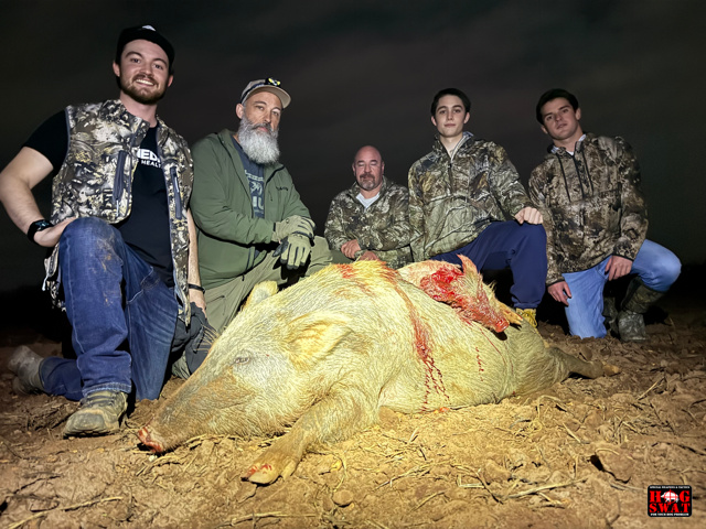 Thermal Hog Hunting