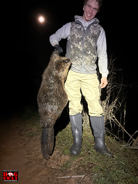 Beaver Hunting