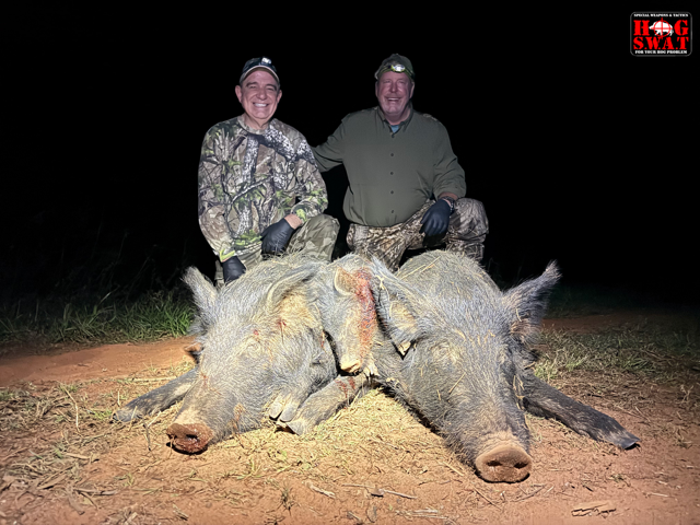 Night Hog Hunt In Georgia