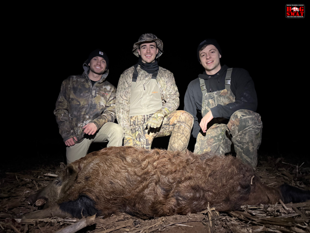 Guided Hog Hunting