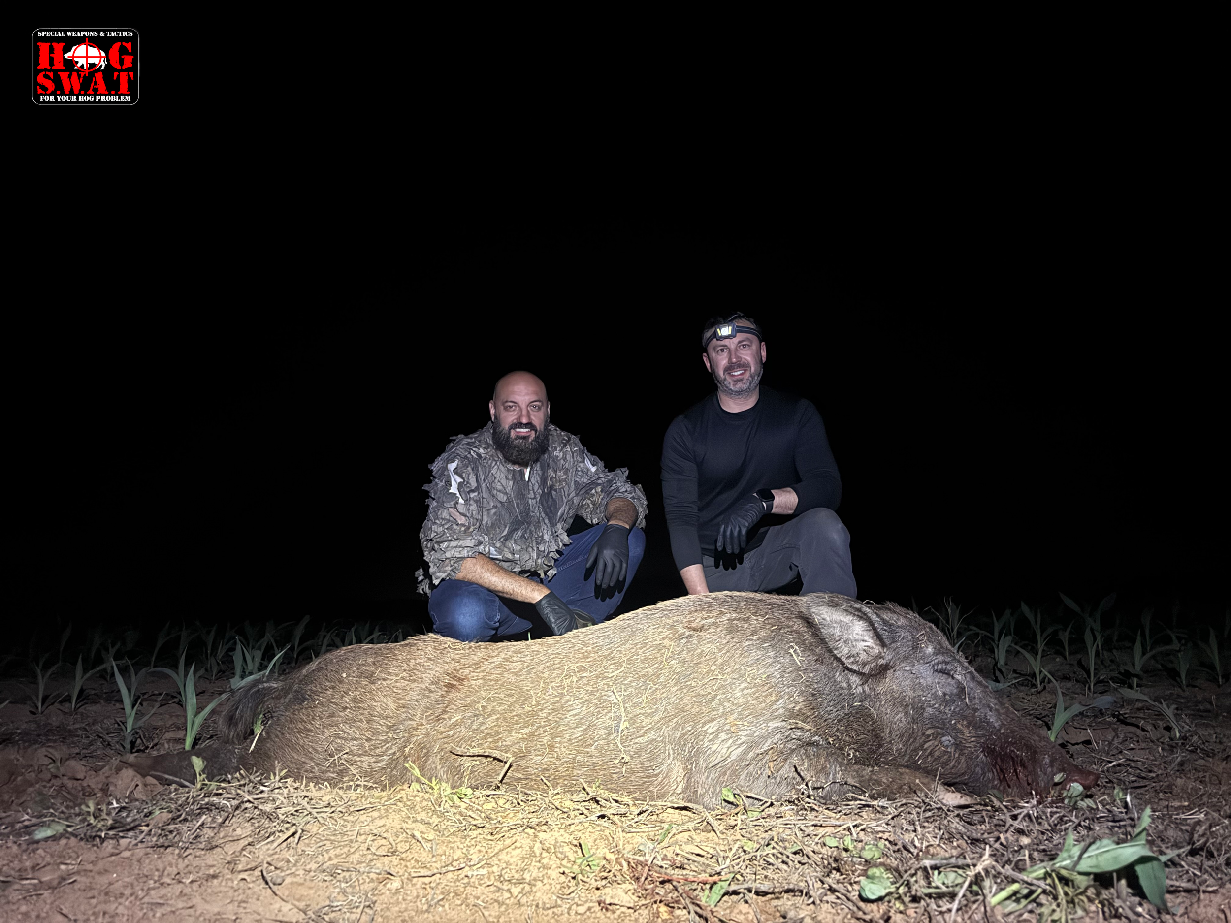 Georgia Boar Hunts