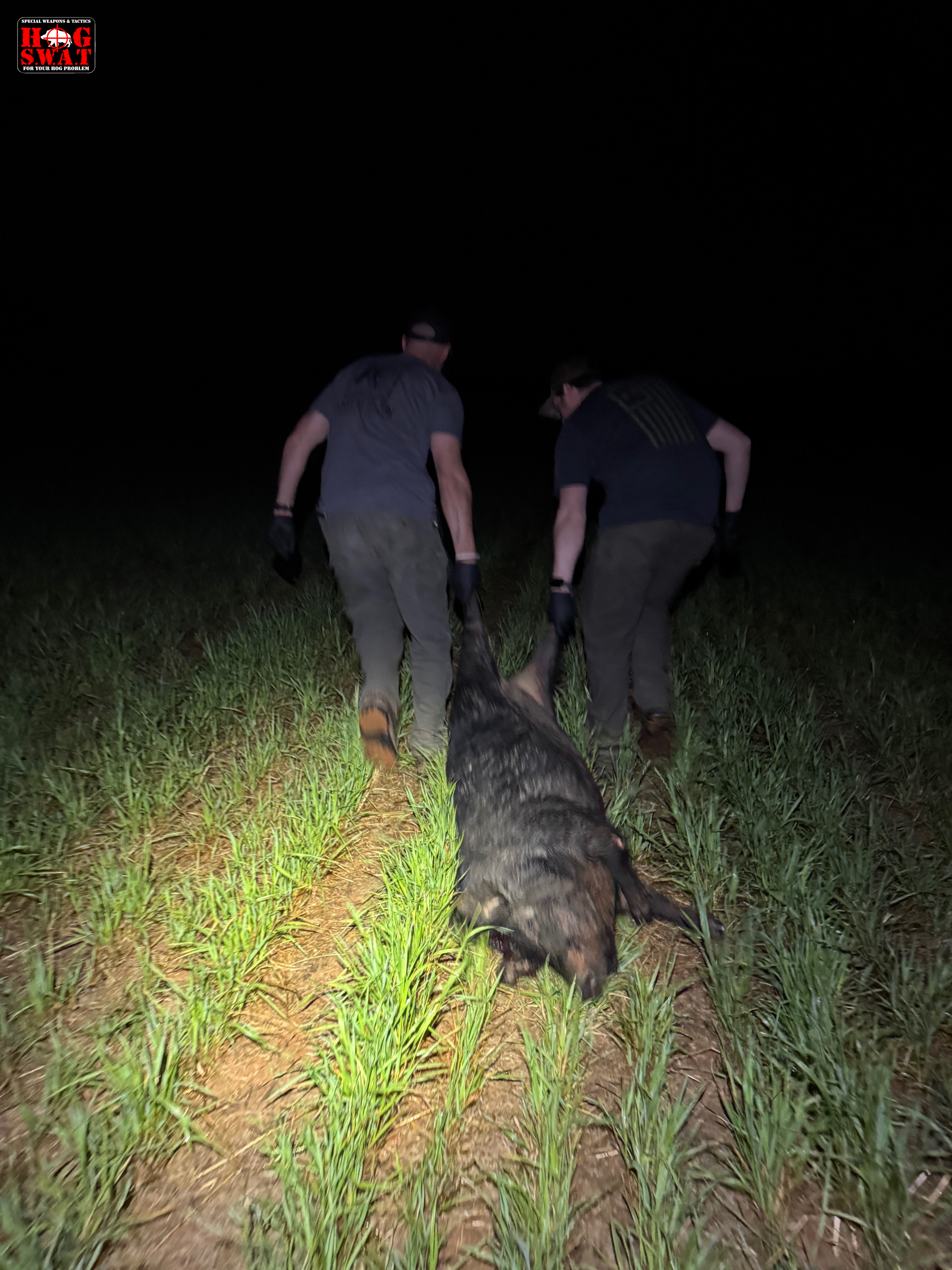 Spot and Stalk Hunting