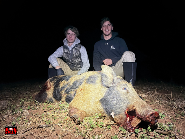 Hog Hunting In Georgia