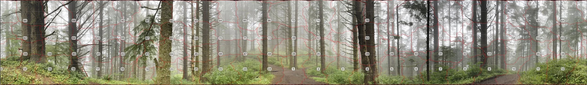 Image showing all the tiles and how they are connected.