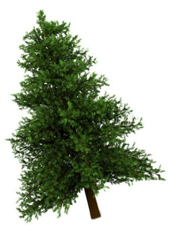TreeCycling 2019 – Jan 1 thru Jan 13