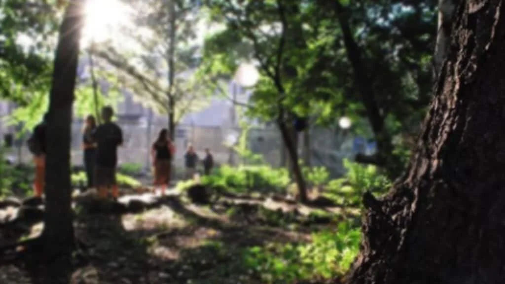 Orkney Park Fall Gala – Sat, Sept 14