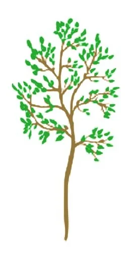 Free Fall Street Trees available for your NoLibs Home or Business!