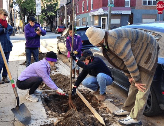 Get a Free Tree from TreePhilly