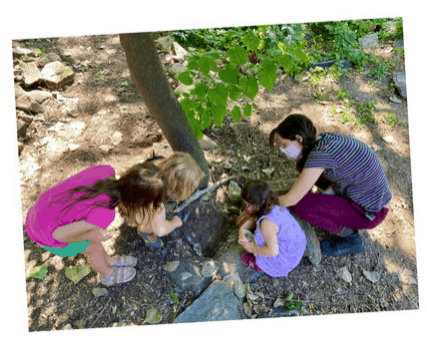 Orkney Park Environmental Education Programs Returns