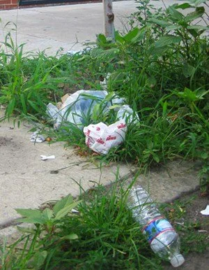 Weeding 101: Why We Weed