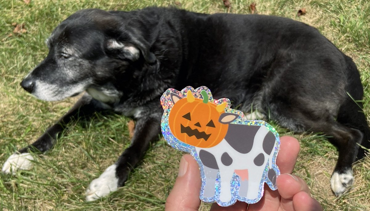 pumpcow5.jpg