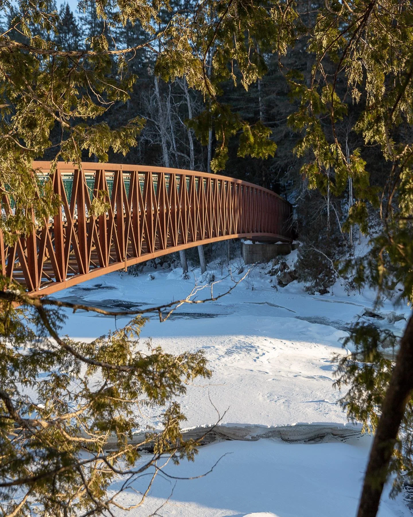 A Dip into the psychological Queer Thriller.