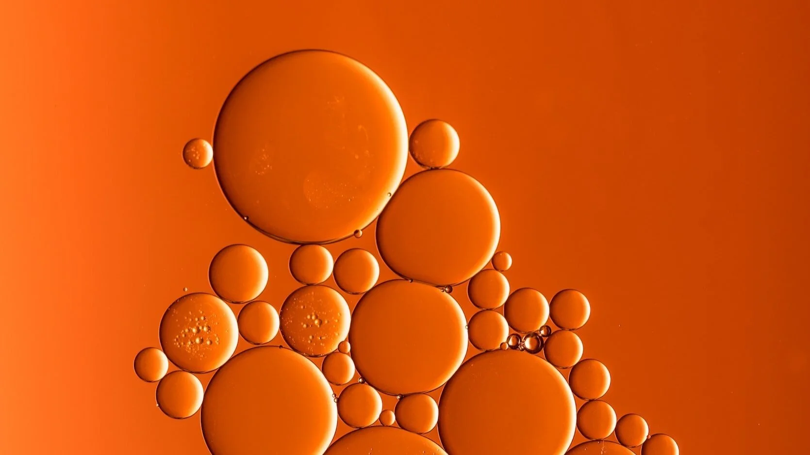 The Flash Point of Cooking Oils Why Does It Matter? — Explore the