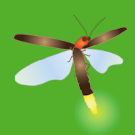 home grown national park logo. firefly against green background