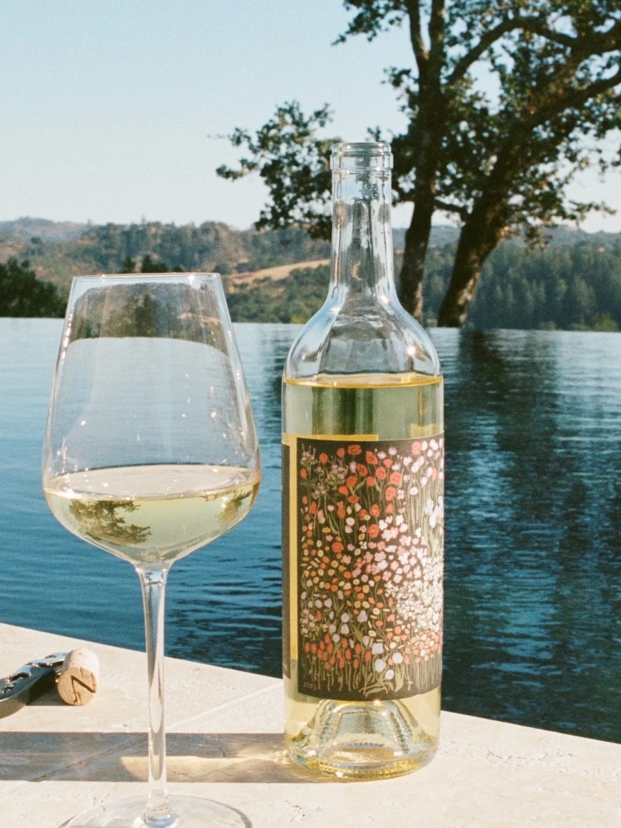 Lil throwback to this summery shoot with @vannucci_wines shot all on film