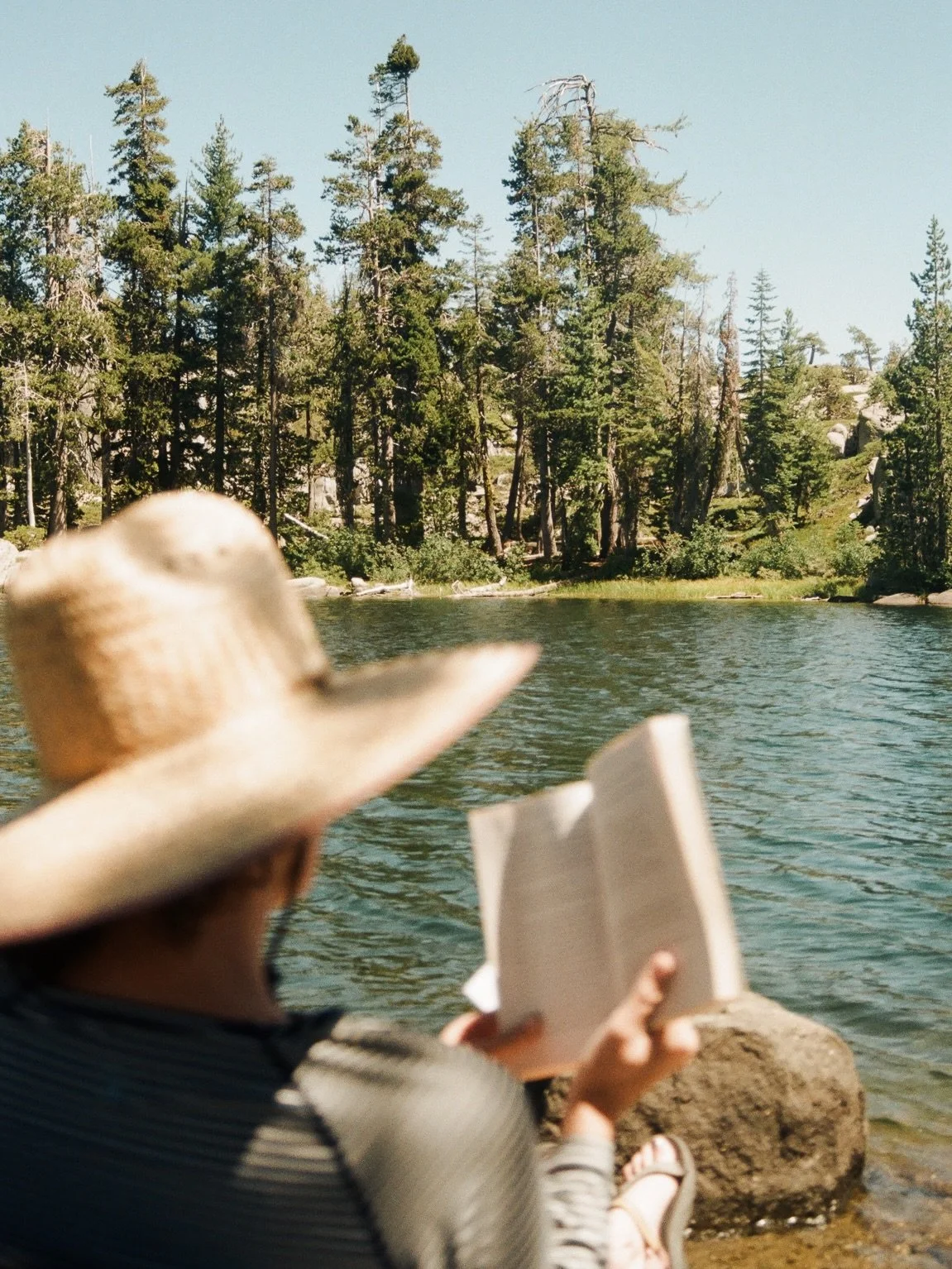 Scenes from another sierra summer, shot on film