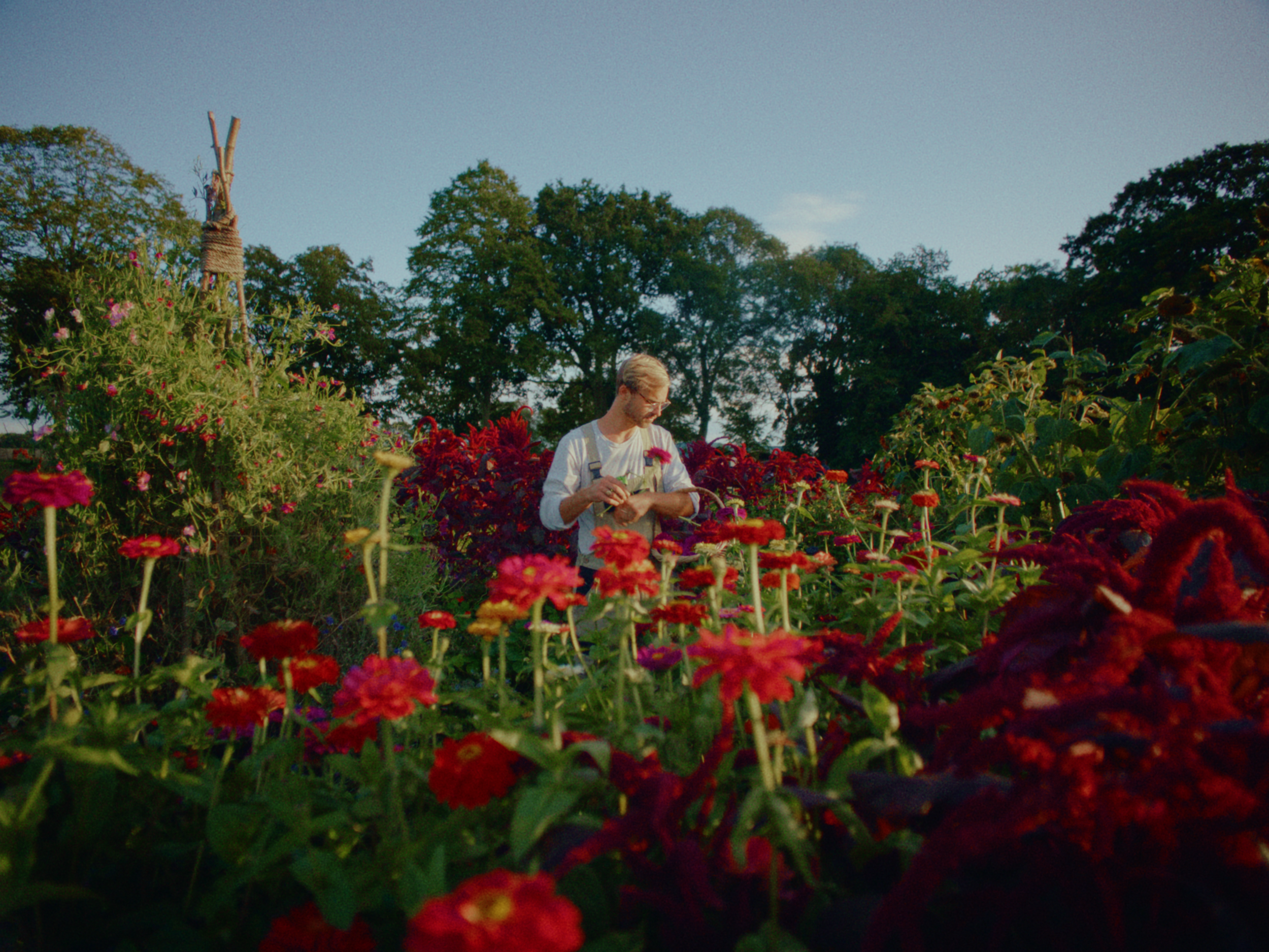 fiverodstills_3.24.1 2.PNG