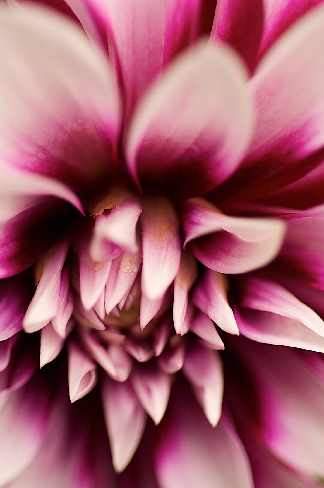 _DSC0775 websrgb.jpg