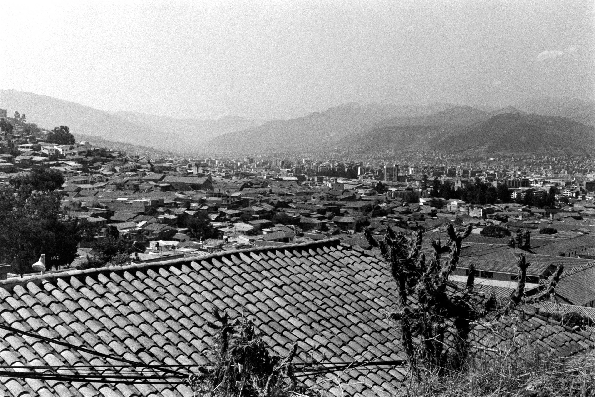 DSCF6228.jpg