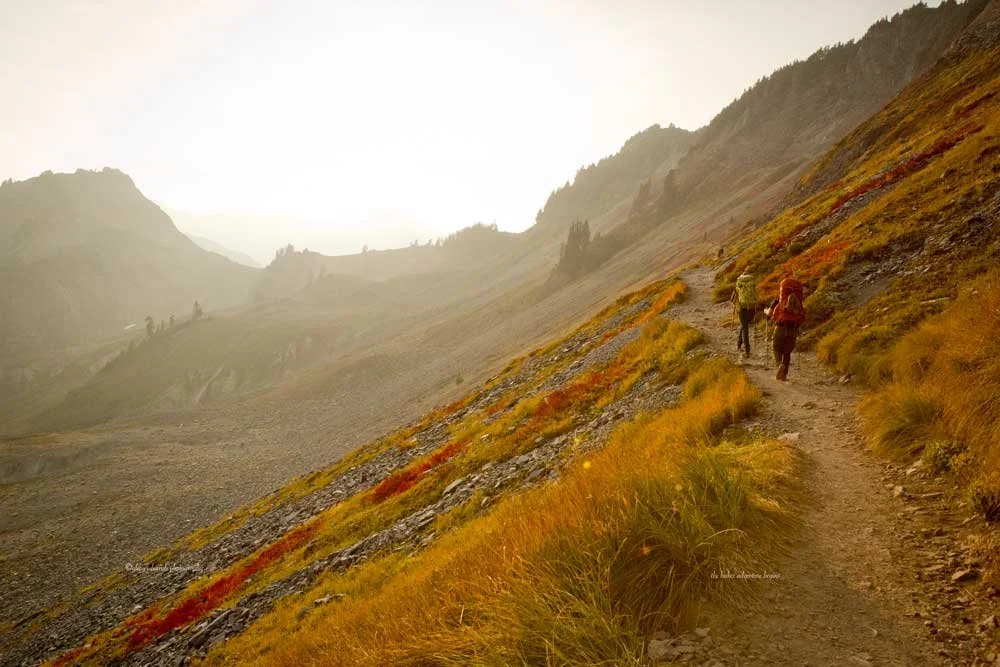 the baker adventure begins