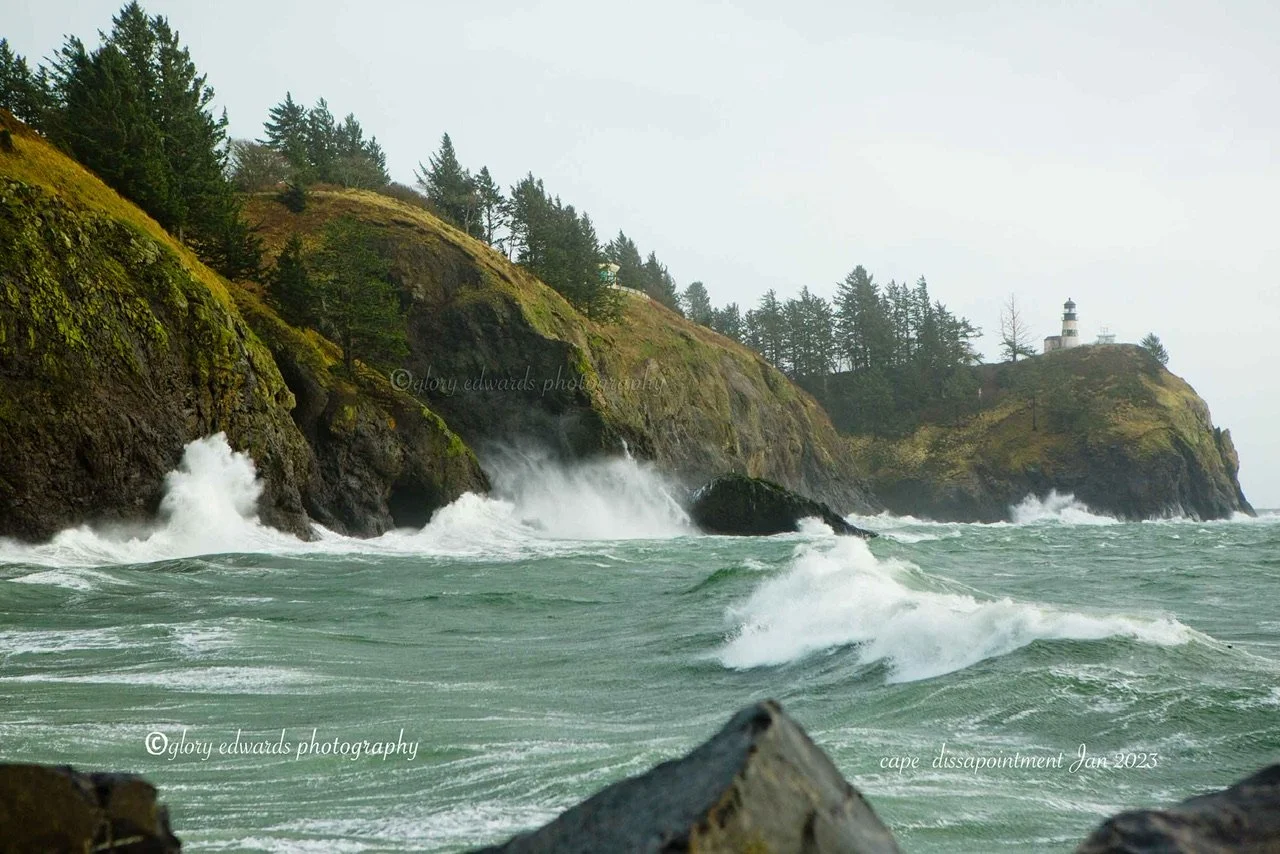 Cape disappointment