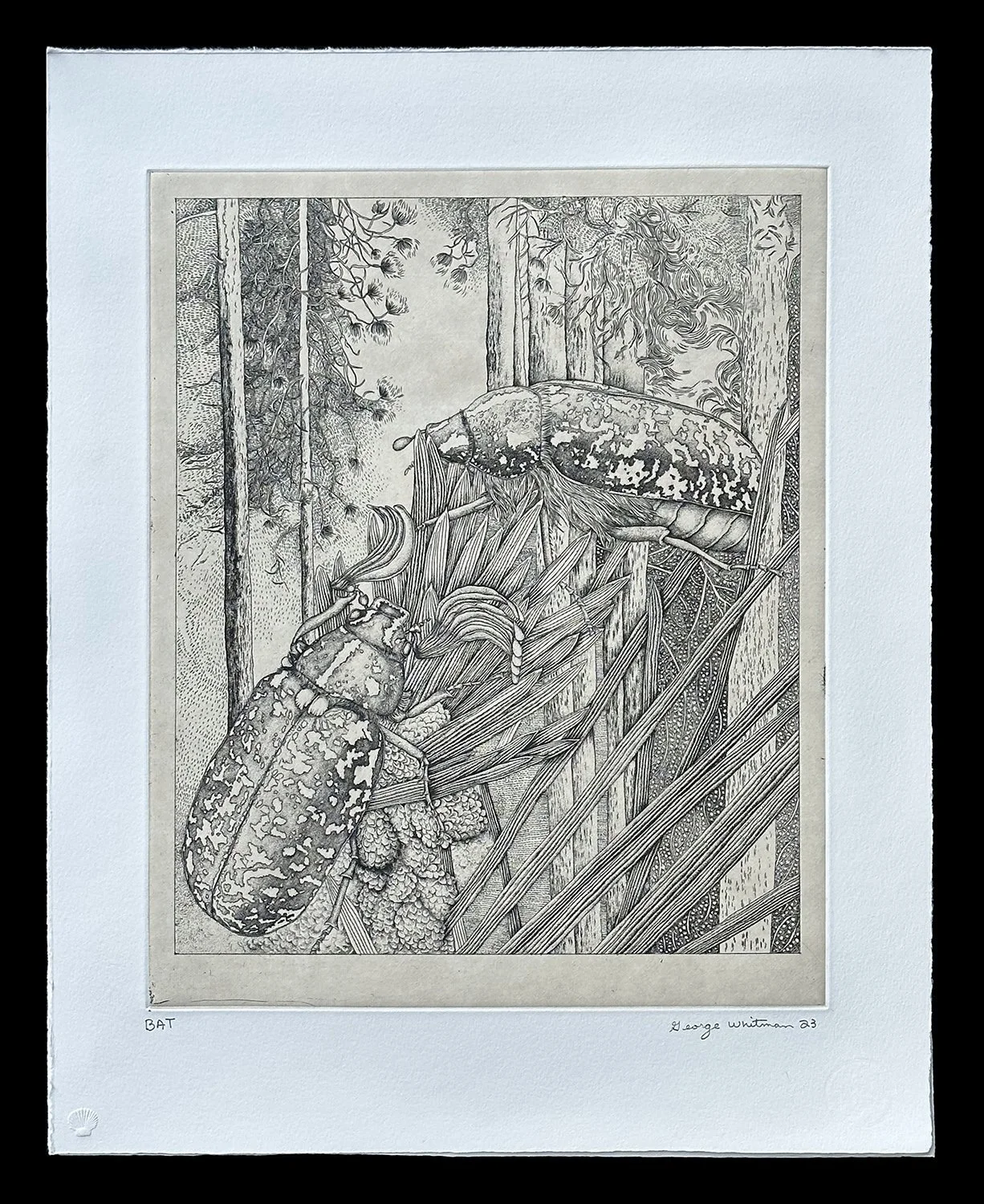 Beetle series (2023) — Center Street Studio