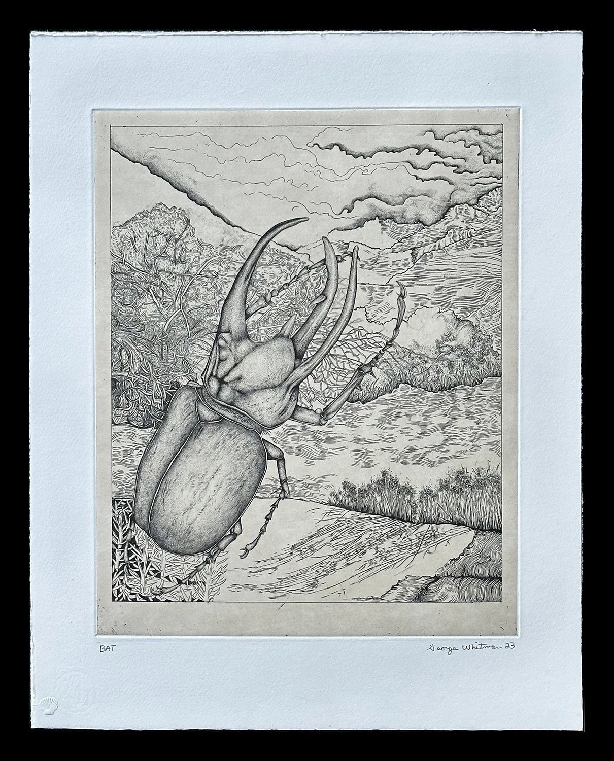Beetle series (2023) — Center Street Studio