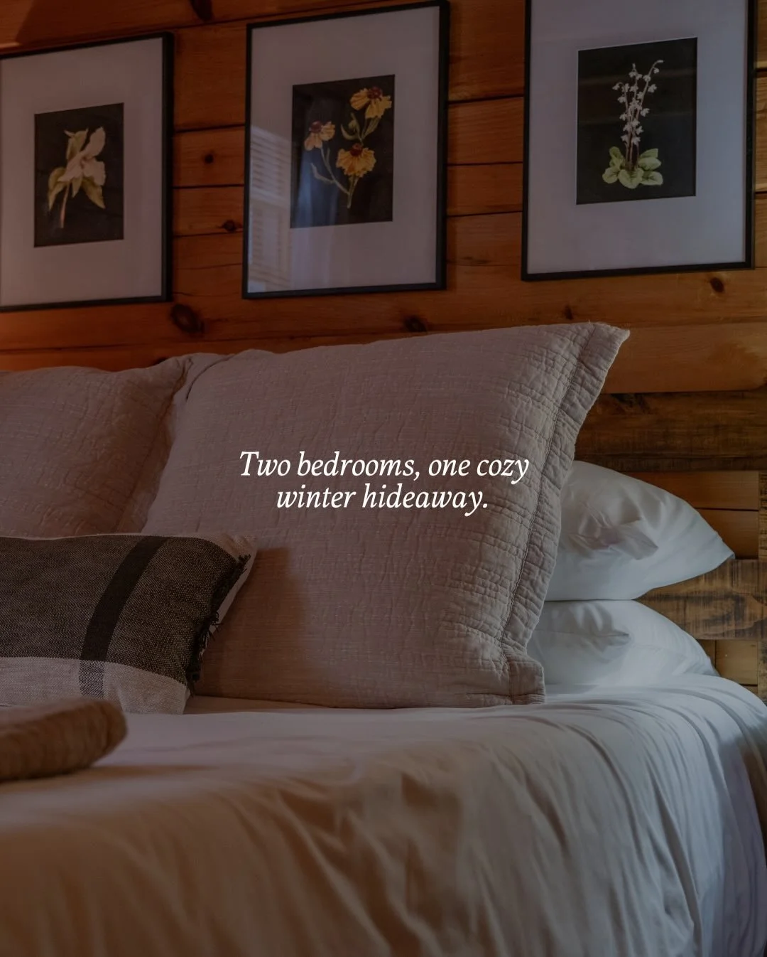 There&rsquo;s something about a fully stocked kitchen and a quiet cabin that makes even the simplest things feel like a little ritual.

This is your sign to book the Alpine Cabin. 

A warm mug of cocoa after being out in the snow. A pot of soup on th