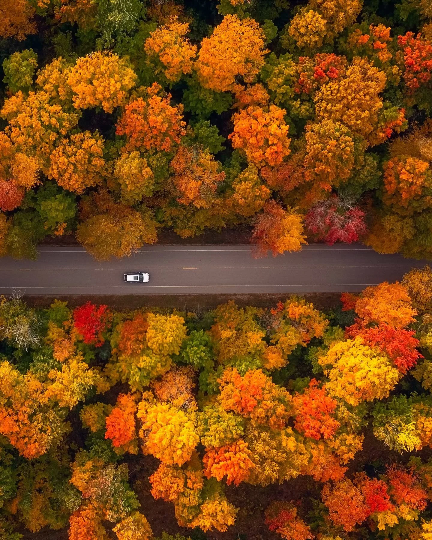 The Ultimate Fall Guide in Traverse City: Colors, Activities, Breweries, &amp; Local Secrets (2026)