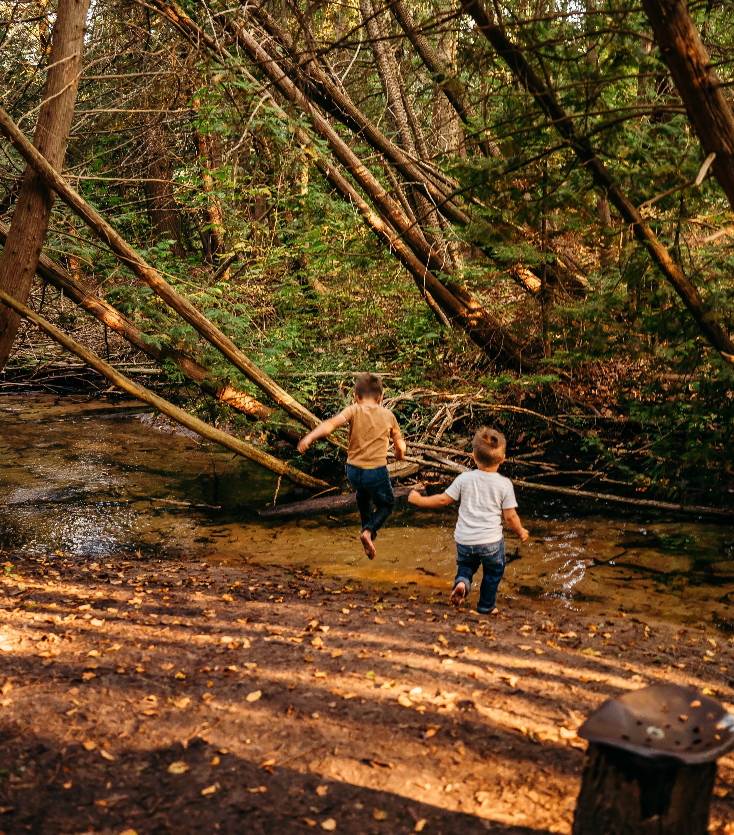 Northern Michigan scenic property Leo creek