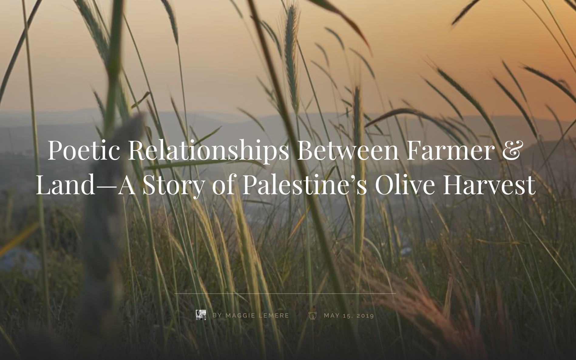 Screen Shot 2023-02-23 at 5.08.46 PM.png