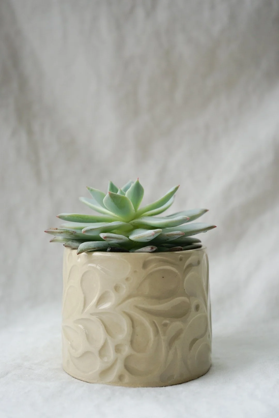 Carved Succulent Planter