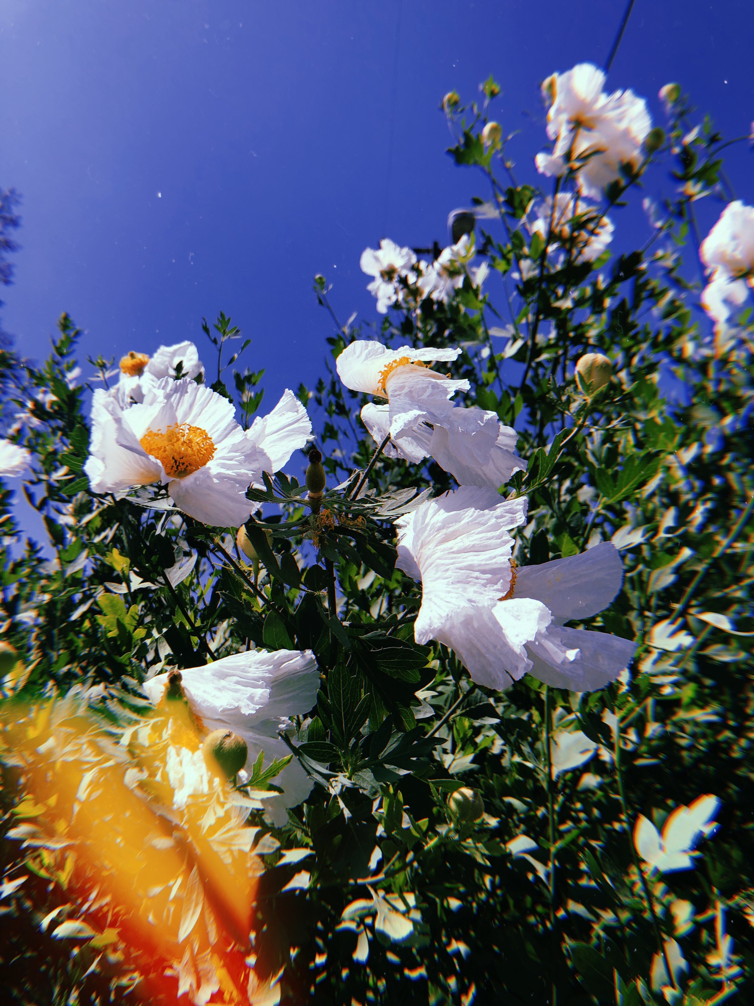 2019-05-12 15:03:37.575.jpeg