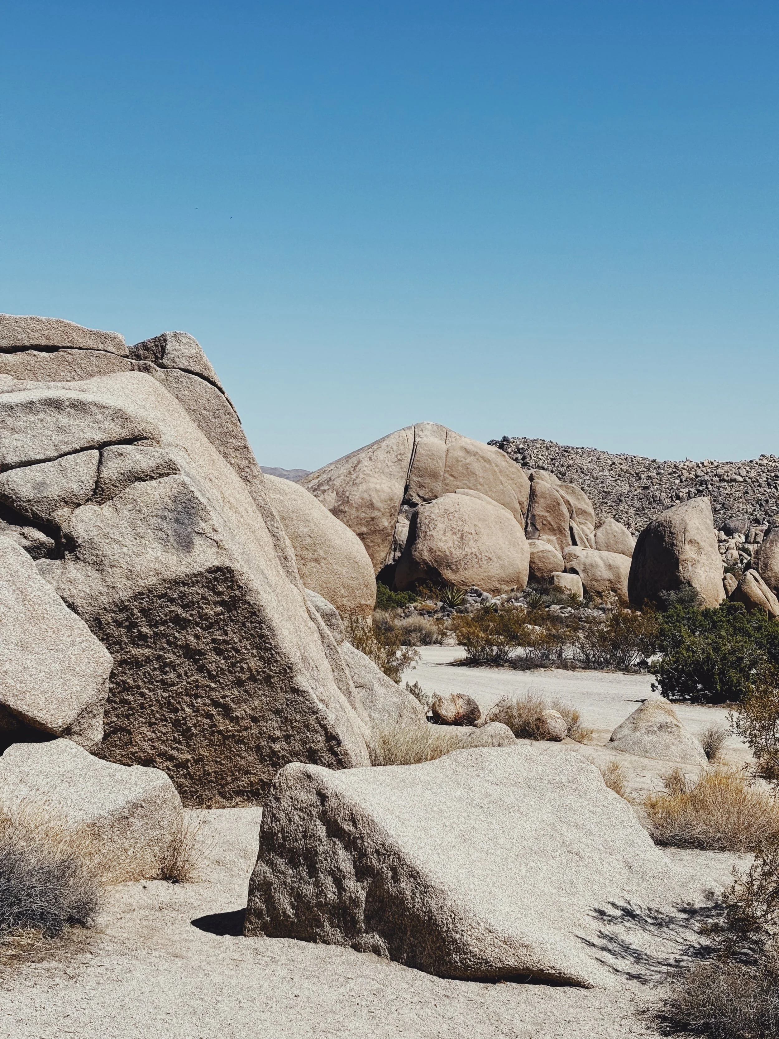 FullSizeRender_VSCO (2).jpg