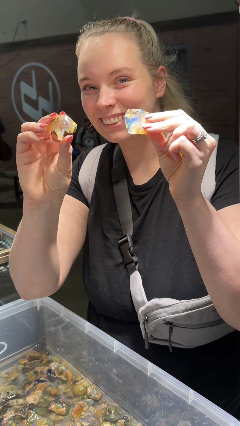 Tucson Gem Show Mystery Box