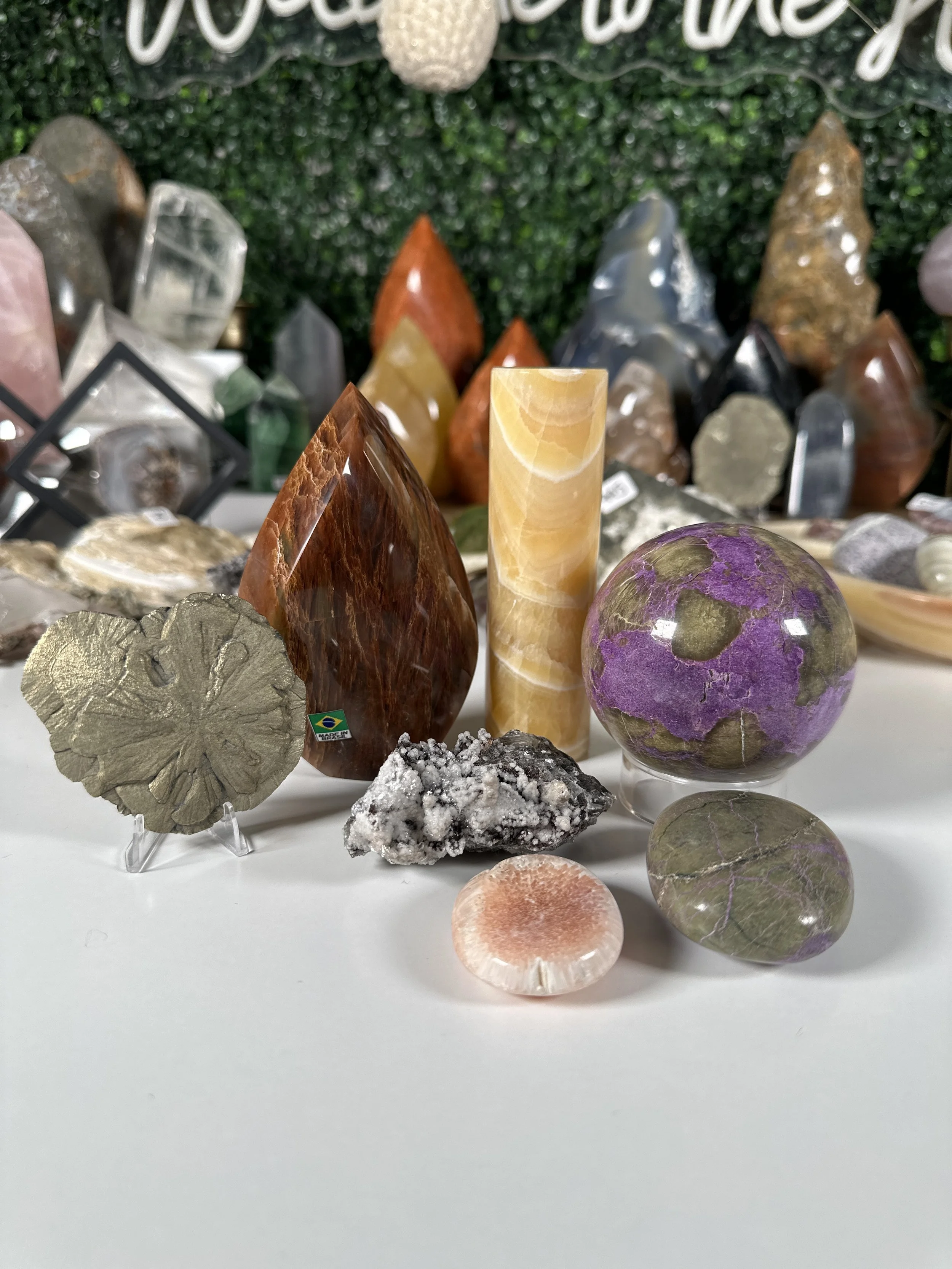 Gaylemeidinger7 (kendyl820)