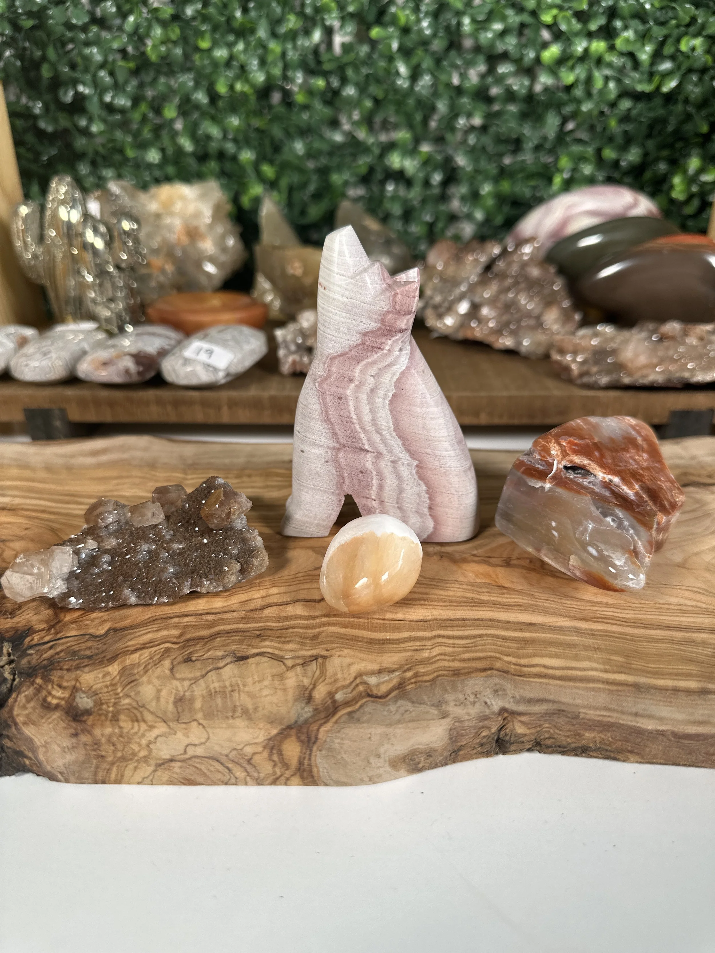 Thebrownveterinarian