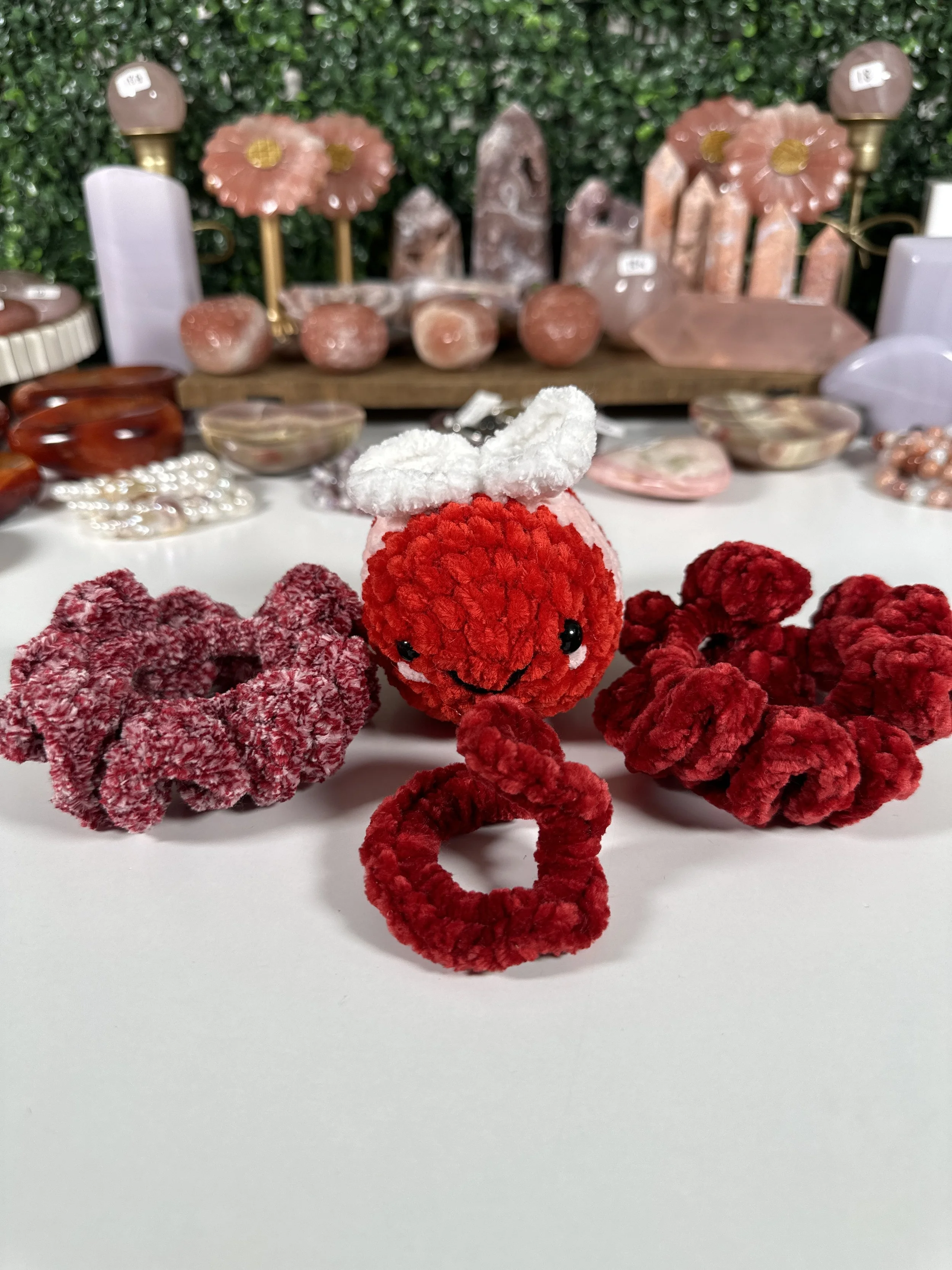 Dogtrovertandbooktrovert