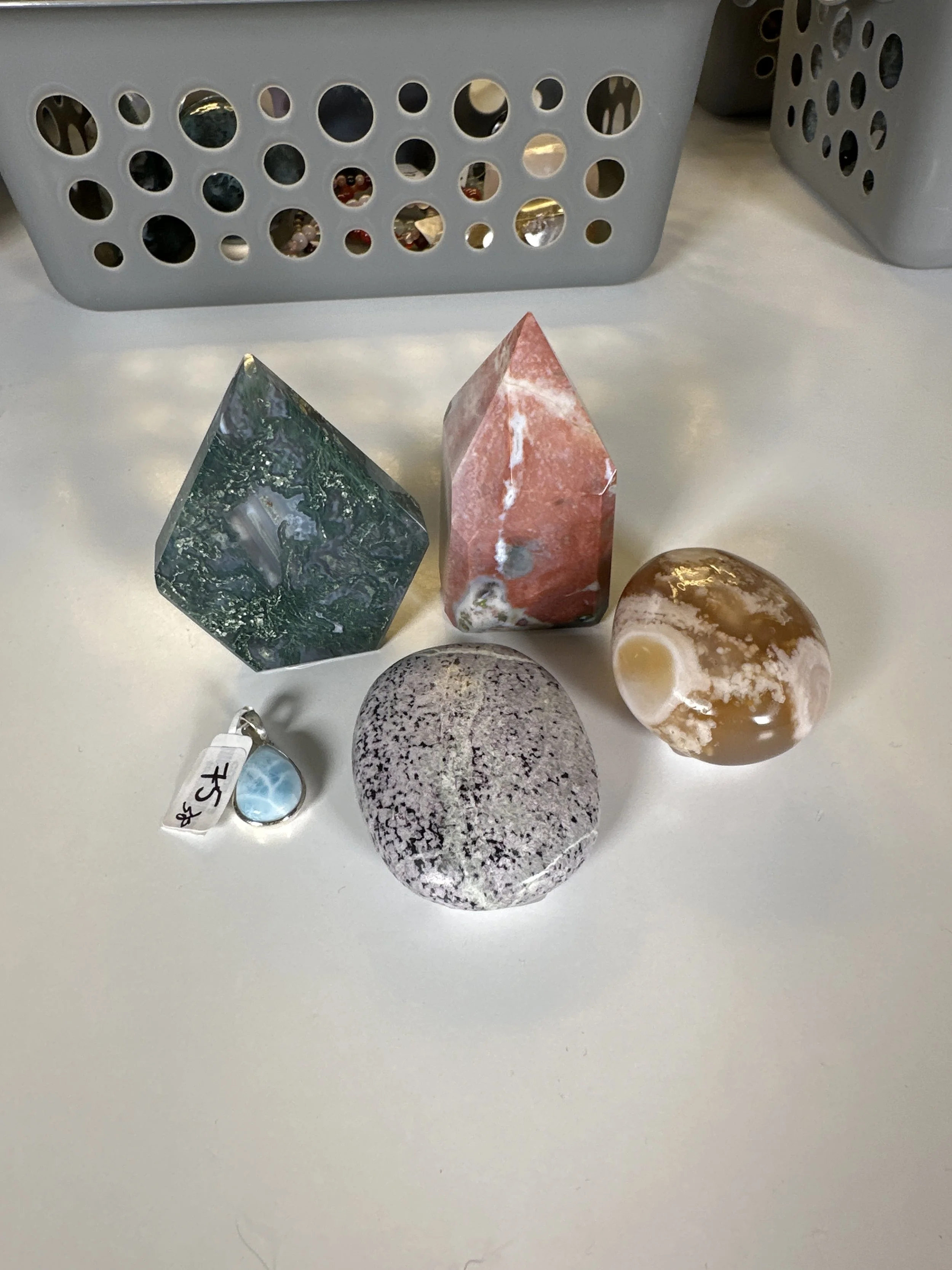 Dogtrovertandbooktrovert