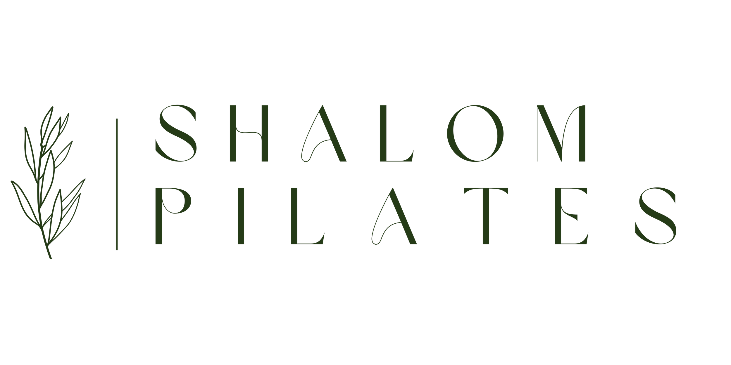 Appointments 1 Shalom Pilates appointments-1-shalom-pilates