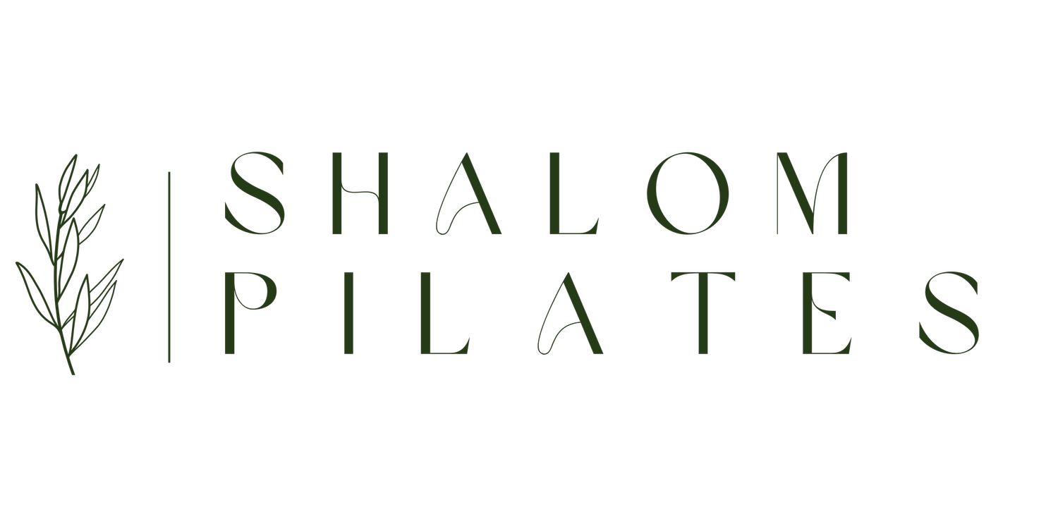 appointments-1-shalom-pilates