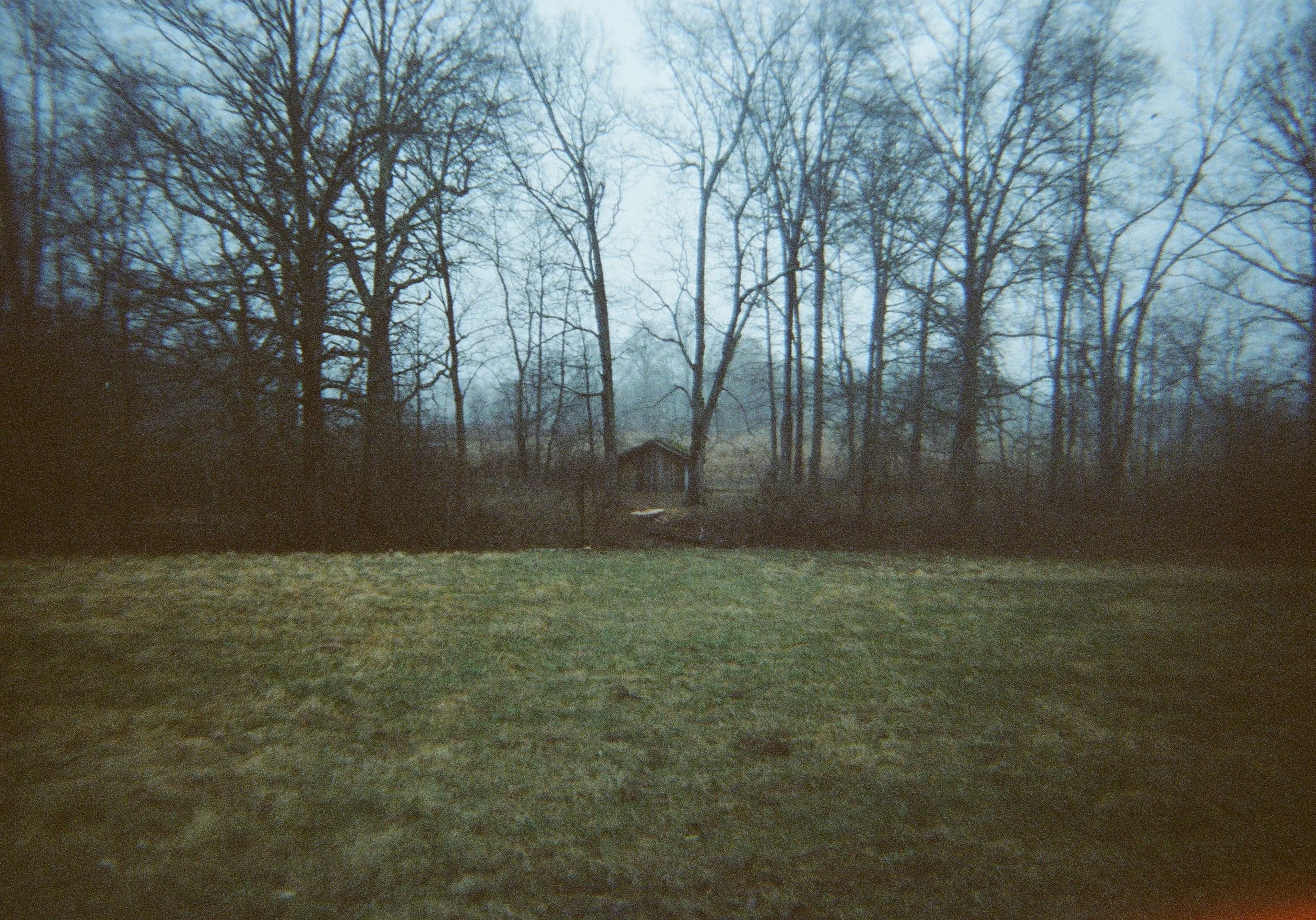 40.jpg