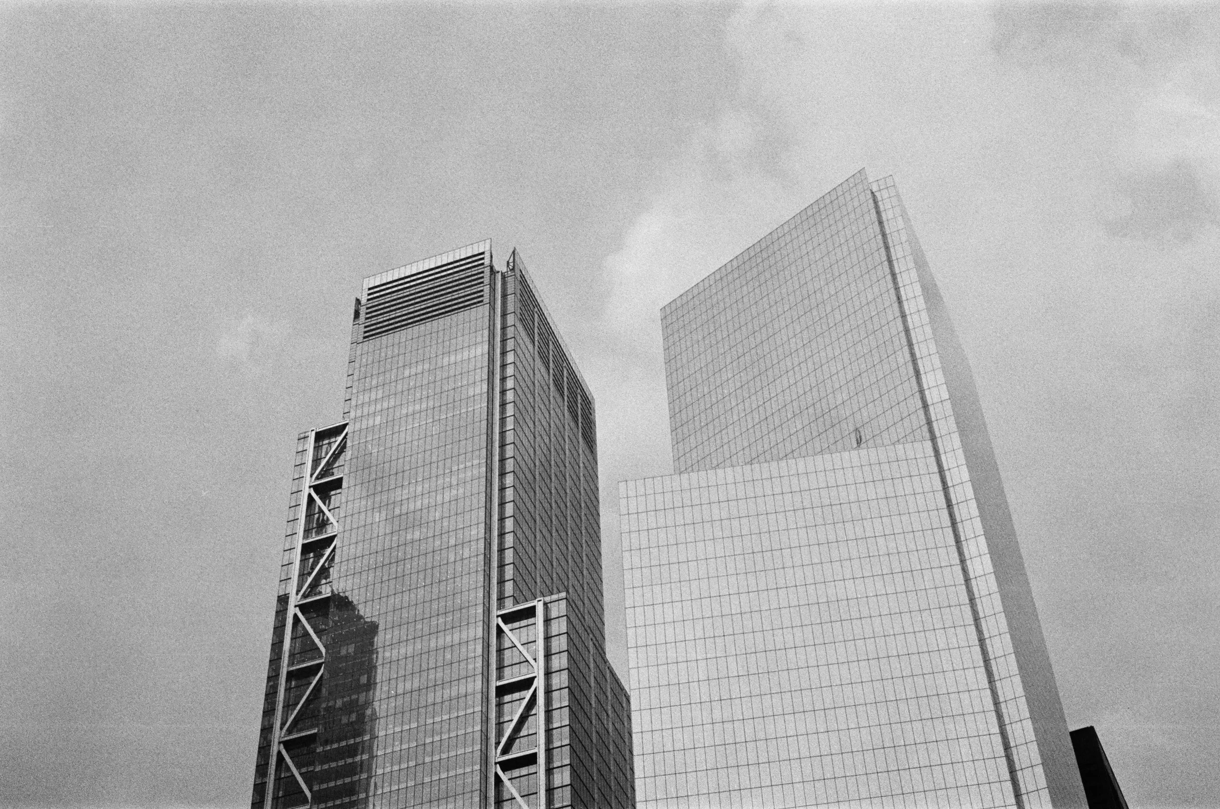 kodak_professional_t-max_400_07_20_2023_000165690018.jpg