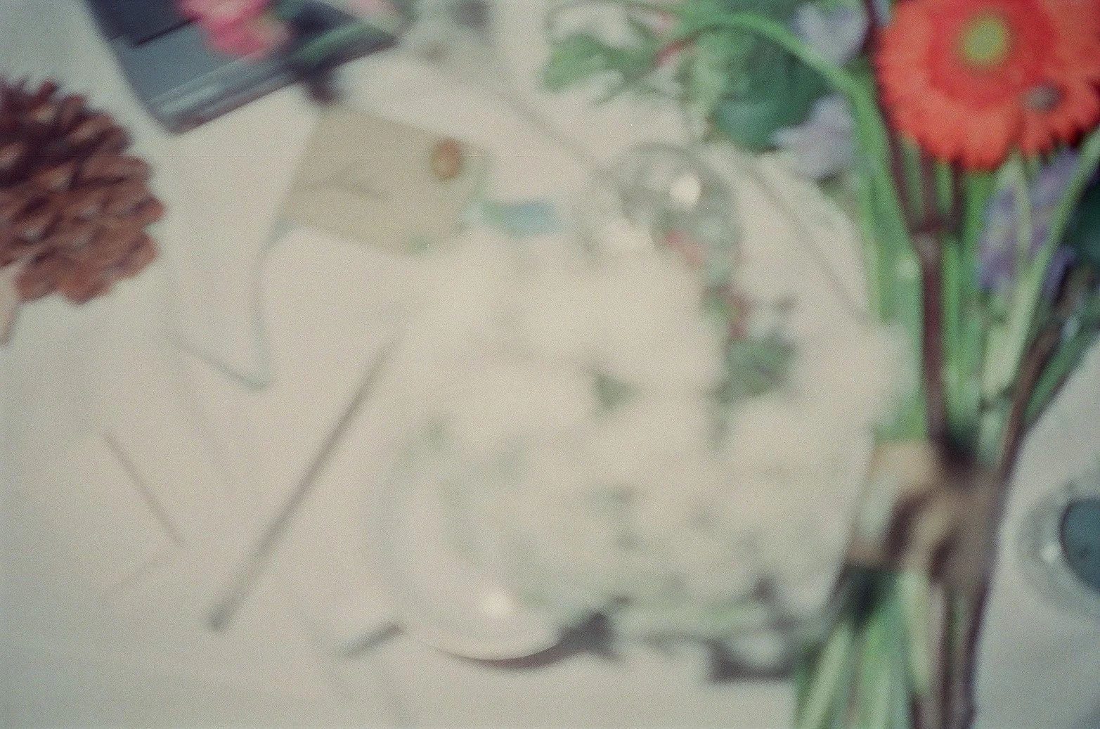 0008_8.jpg